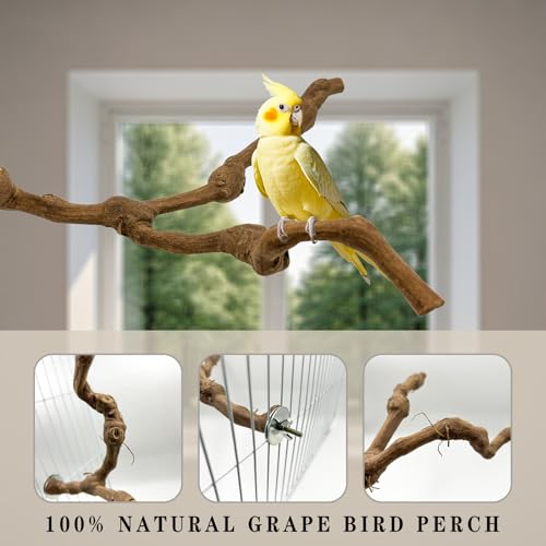 Image of 6 Pcs Medium Bird Perch Set, Natural Wood Bird Perches, Parrot Cage Toys for Cockatiels, Conures, Budgies, and Parakeets, Cage Accessories for Small and Medium Parrots