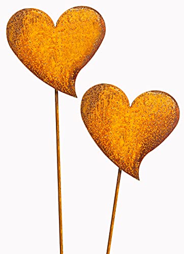 Blümelhuber Set di 2 spine da giardino a forma di cuore, in metallo arrugginito, decorazione per esterni e piante