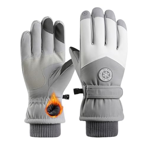 [YUMISS] XL[O[u h fB[XyOwhhhfށE~MۉNтŗ뉺20gz  ʋC  ~ ^b`plΉ hH Xm[{[h oCN oR ނ AEghA (^CvB-O[, Fr