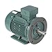 Premium Efficiency Metric Motor