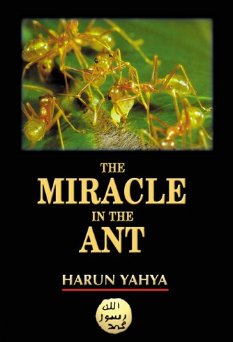 Buy Miracle in the Ant — BookShops.in