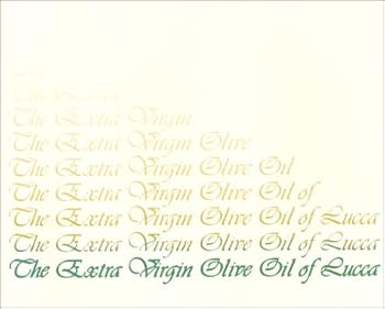 The Extra Virgin Olive Oil of Lucca