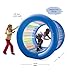 HearthSong Roll With It! Giant Inflatable Colorful Rolling Wheel for Active Outdoor Play, 45