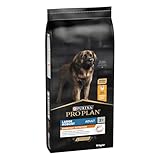 PURINA PRO PLAN Perro Adulto Grande Robusto con OPTIBALANCE Pollo 14kg