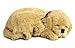 Perfect Petzzz Huggable Breathing Puppy Dog Pet Bed Golden Retriever