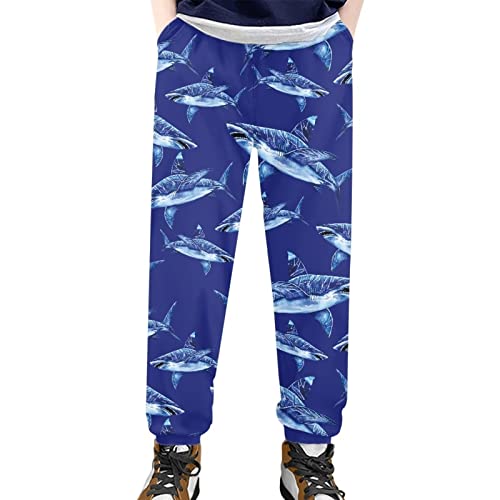 SEANATIVE Kids Active Jogger Sweatpants Loose Comfy Sport Pants with Pocket Size 4-15 T