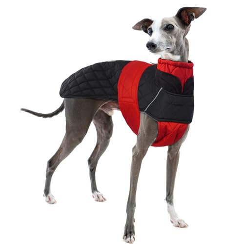Whippet Jumper, Sighthound Coat Whippet Coat Water Resistant Winter Jacket Italian Greyhound Clothing Greyhound Fleece HouseCoat