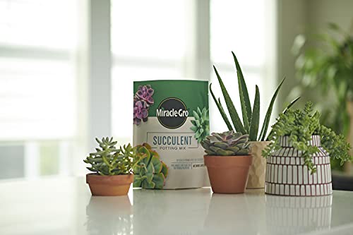 Image of Miracle-Gro Succulent Potting Mix, 4 qt. (2-Pack) | Potting Soil Mix for Indoor Succulents, Aloe Vera and More, Made with Miracle-Gro Plant Food