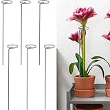 Aspect élégant et naturel : avec des lignes gracieuses et une finition lisse, ces supports de plantes servent non seulement leur objectif, mais ajoutent également un attrait esthétique à votre jardin. La couleur vert foncé se marie parfaitement avec les plantes à tige pour un effet naturel et visuellement agréable.