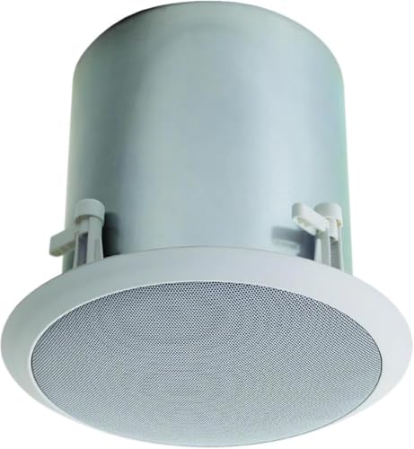 High Fidelity Ceiling Speaker