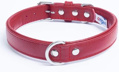 Angel Pet Supplies Inc. Alpine Plain Dog Collar by Angel. 22" X 1", Valentine Red, 41033