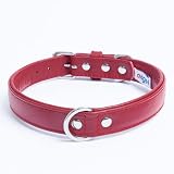 Angel Pet Supplies Inc. Alpine Plain Dog Collar by Angel. 22" X 1", Valentine Red, 41033