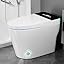 TC02 Black/Auto Open Close Flush&Foam Shield