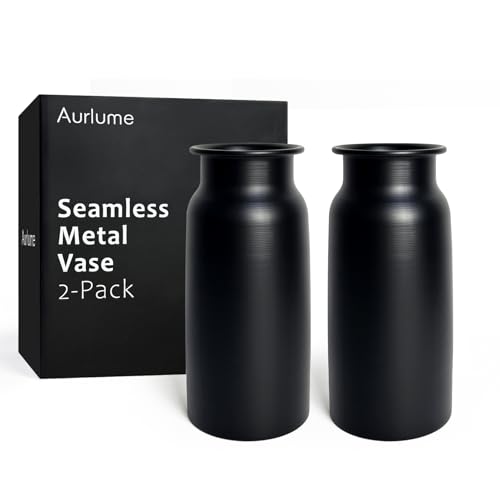Lot de 2 Vases en Métal Noir Mat Moderne, Paire de Vases à Fleurs de 27,5 cm, sans Soudure et Étanche, Vases Décoratifs Incassables pour Loft et Salon