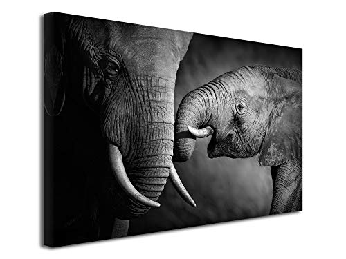 DECLINA – Tableau Mural L'Éléphant et sa Mère – Style Safari Chic – Photo sur toile – Fabrication française – 50x30 cm