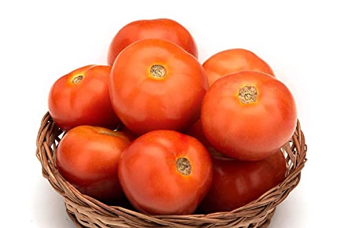 Image of Fresh Tomato - Local, 1kg
