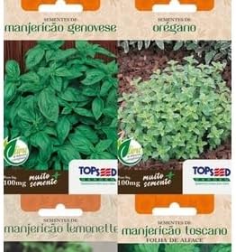 Sementes de Hortaliças, Temperos e Ervas Letra E a P (Funcho Doce de Cabeça)