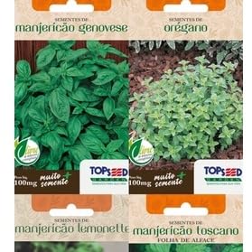 Sementes de Hortaliças, Temperos e Ervas Letra E a P (Funcho Doce de Cabeça)