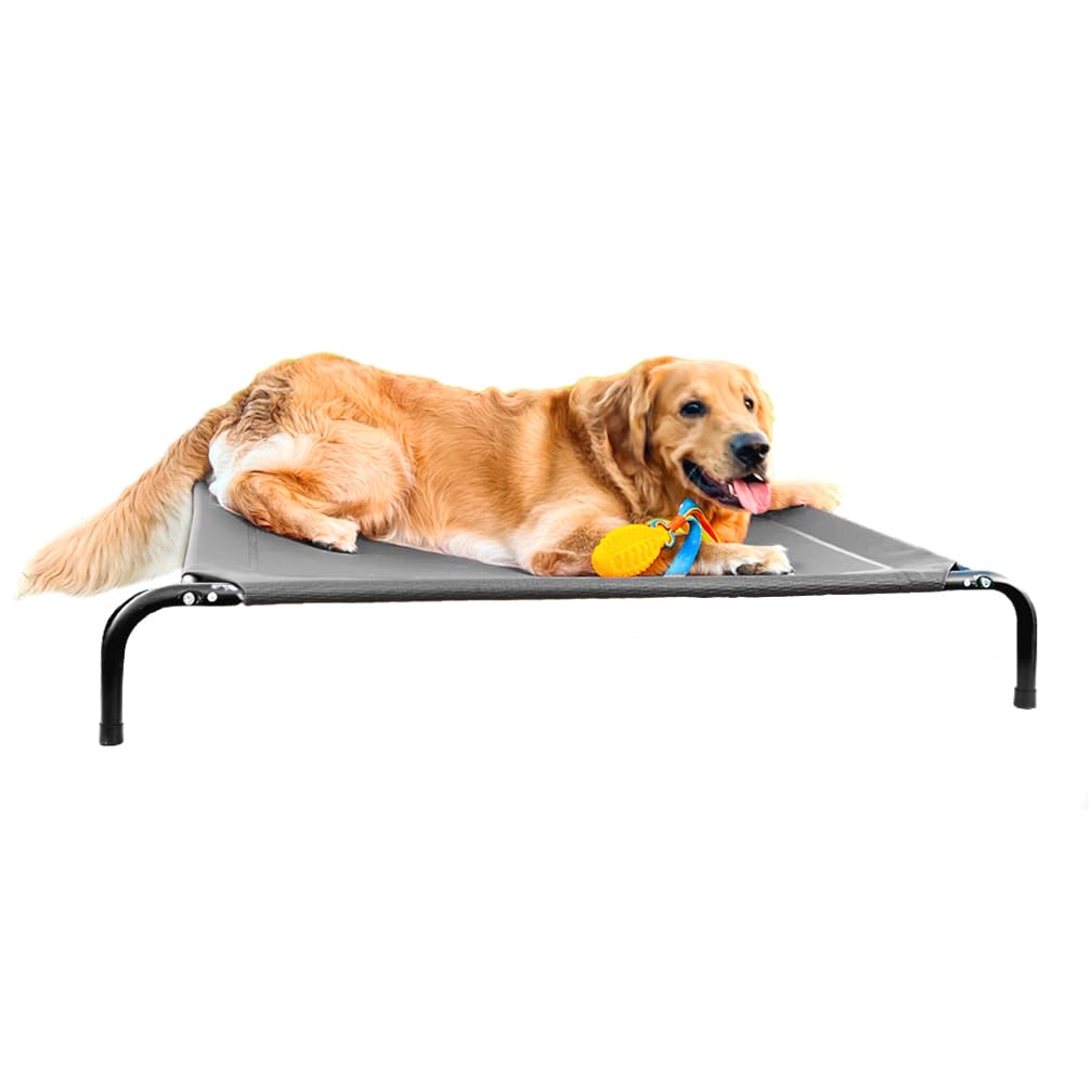 Erhöhtes Hundebett Mit Kissen – Mittelgroß, Waschbar, Mit Netz & Metallrahmen – Kühlend Für Innen & Außen
