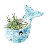 Reibschüssel - Niedlicher mit bequemem Griff | Knoblauchreibe Gemüseschäler | zum Kochen, Backen, Reiben von Ingwer, & Kräutern