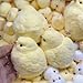 JIACAI 1pcs Handmade Chick Squishy Toys Ultra Soft squishies Fidget Toys Silicone Squeeze Toys for Stress Relief ( Chicken )