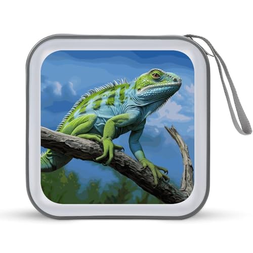 Étui CD/DVD de rangement compact pour éviter les rayures et le désordre en voyage
