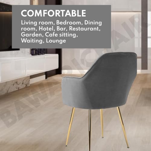 Image of Velvet Chair for Home | Modern Accent Armchair in Soft Velvet Fabric with Golden Legs | Set of 2 Premium Accent Chair for Living Room Bedroom Restaurent | (Grey N /A, Standard)