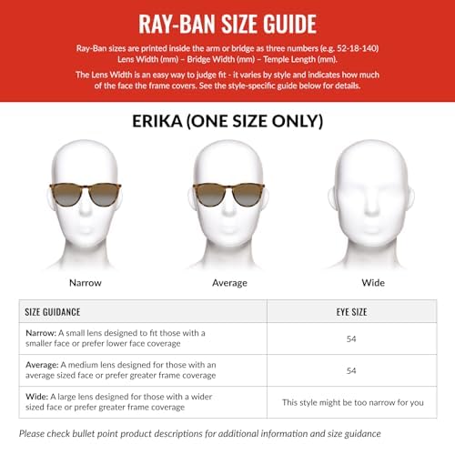 Ray-Ban Unisex RB4171 Erika Round Sunglasses, Transparent/Light Grey Gradient Dark Grey, 54 mm - image 4