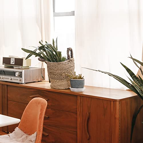 Yuntop 10 Pack Clear Plastic Plant Saucer, Durable Plant Trays Flower Plant Pot Saucer Plant Container Accessories For Indoors & Outdoors, Stop Messes & Stains In Your Garden (5 Inch) #TOP5