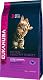 Eukanuba Kitten Healthy Start
