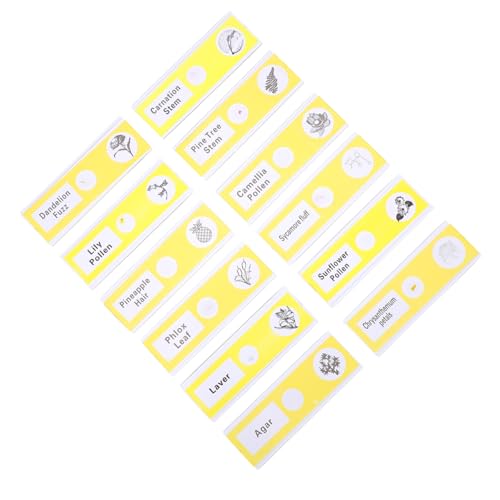 CHILDWEET 12pcs Glass Slide Microscope Slides Abs Specimens Sample Biological Specimen Child Plant Suite CHILDWEET 12pcs Glass Slide Microscope Slides Abs Specimens Sample Biological Specimen Child Plant Suite