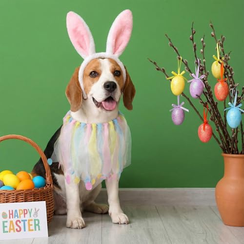 Set de 3 disfraces para perro días festivos miniatura 6