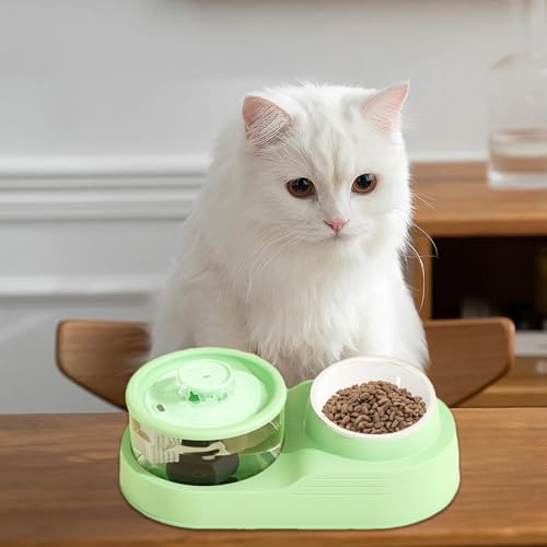 Distributeur de nourriture pour chat protégeant les cervicales avec fontaine silencieuse