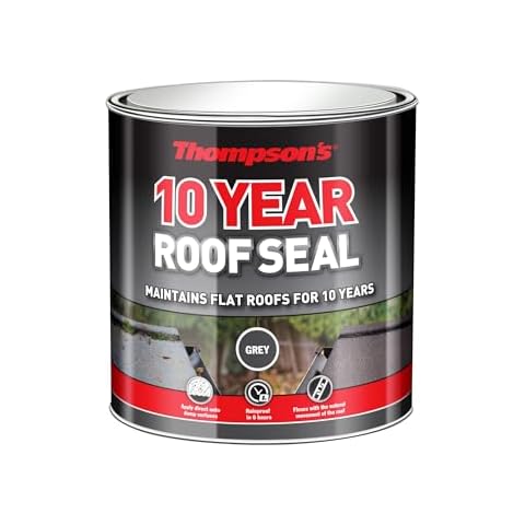 Thompsons 10 Year Roof Seal Grey Paint Cover