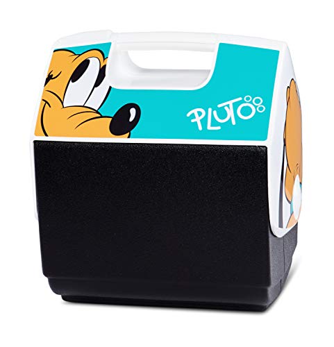 igloo bento box