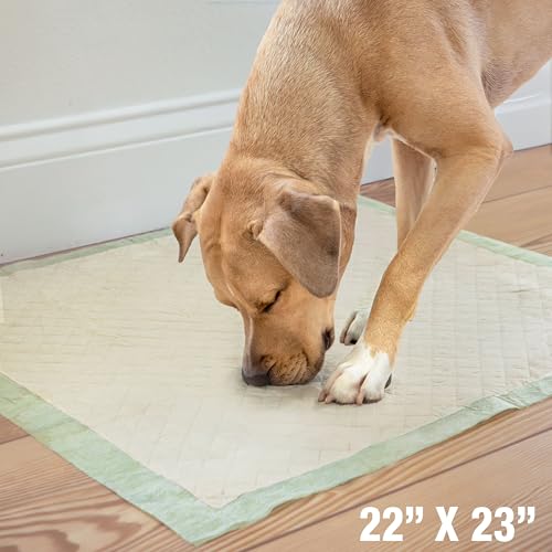 Image of Four Paws Wee-Wee Superior Performance Bamboo Pee Pads for Dogs, Earth Friendly Dog & Puppy Potty Training Pads, Crate Liners, Housebreaking Supplies, 22 inch x 23 inch (32 Count)