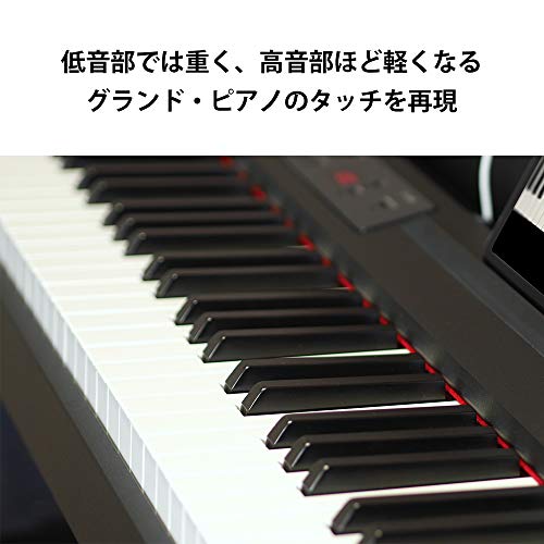 Amazon.co.jp: KORG