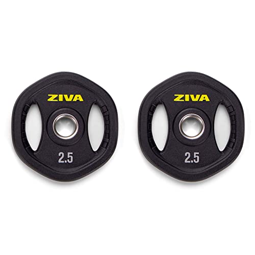 ZIVA 2.5 lb Studio Plates