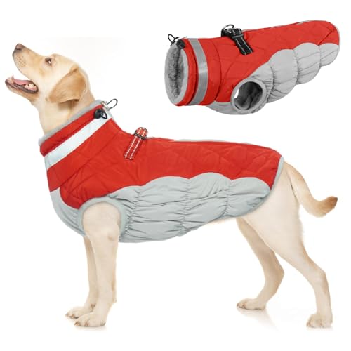 Hundejacke Winter, Hundepullover Mittelgroße Hunde Winterjacke Hund Wasserdicht Hundepullover Hundejacke Fleece Hundebekleidung Winter(Rot, M)