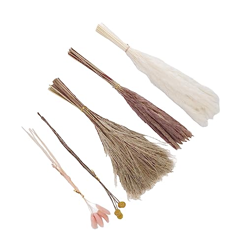 Buquê de Flores Secas, Grama de Pampas de Longa Duração Com Tecnologia Fina 70 Unidades para Quarto