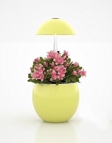 Hydroponic Indoor Garden System, LED Lights, Automatic, Grow Herbs, Grow Vegetables