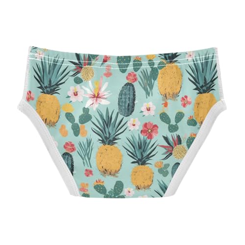 Wusikd Cacti Pineapples Boys' Underwear Cotton Flowers Boys Briefs Soft Toddler Underwear 2T2