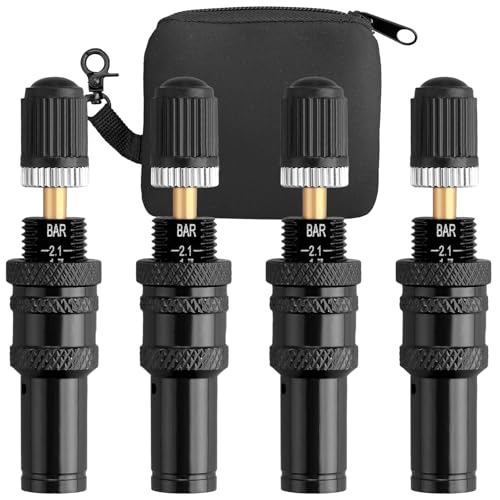 Image of AUTOUTLET Adjustable Auto-Stop Tire Deflator Kit (4-Piece) - Precision 10-30 PSI for Off-Road 4x4, SUVs, Trucks & RVs