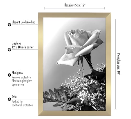 Americanflat 12x18 Poster Frame with Polished Plexiglass - Gold Picture Frame - Wide Photo Frames Made of Engineered Wood for Vertical or Horizontal Wall Display - Epic Collection - Gold