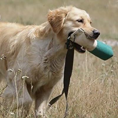 Romneys Longtail Marker Dummy | Standard Dummy 500g mit Zwei Flatterbändern | Zweifarbig | Weiß-Grü