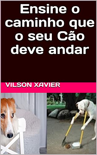 Ensine o caminho que o seu Cão deve andar