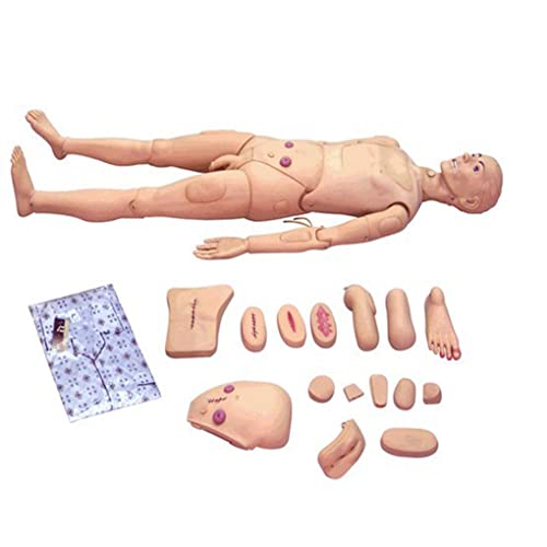 ZJFHEYUO Modelo de enseñanza, simulación de Entrenamiento de enfermería para Pacientes, Modelo Humano avanzado de Entrenamiento de enfermería con Funciones Completas y simulación