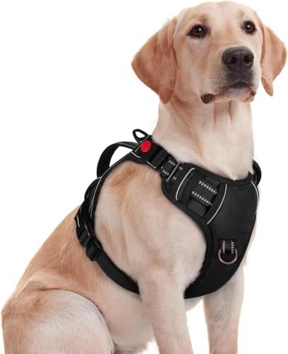 Image of No Pull Dog Chest Belt Harness, Comfortable & Adjustable Size for 5-13 Kg Pet (Black, Small)