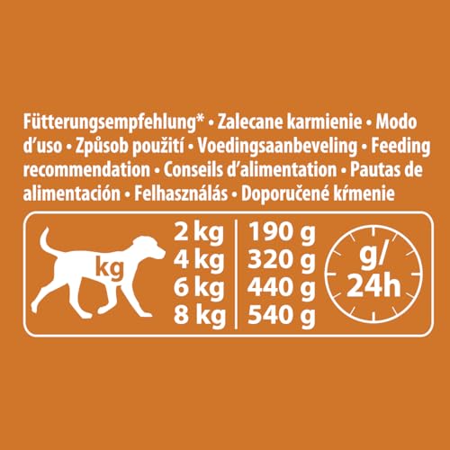 animonda Vom Feinsten Mini Senior Hundefutter nass mit Huhn + Kaninchen und Basilikum (32 x 100 g), getreidefreies Senior Nassfutter ohne Zucker und Soja für kleine Hunderassen