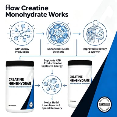 Monohidrato de creatina en polvo micronizado - Suplemento de creatina micronizada - Vegano, sin OGM, sin gluten